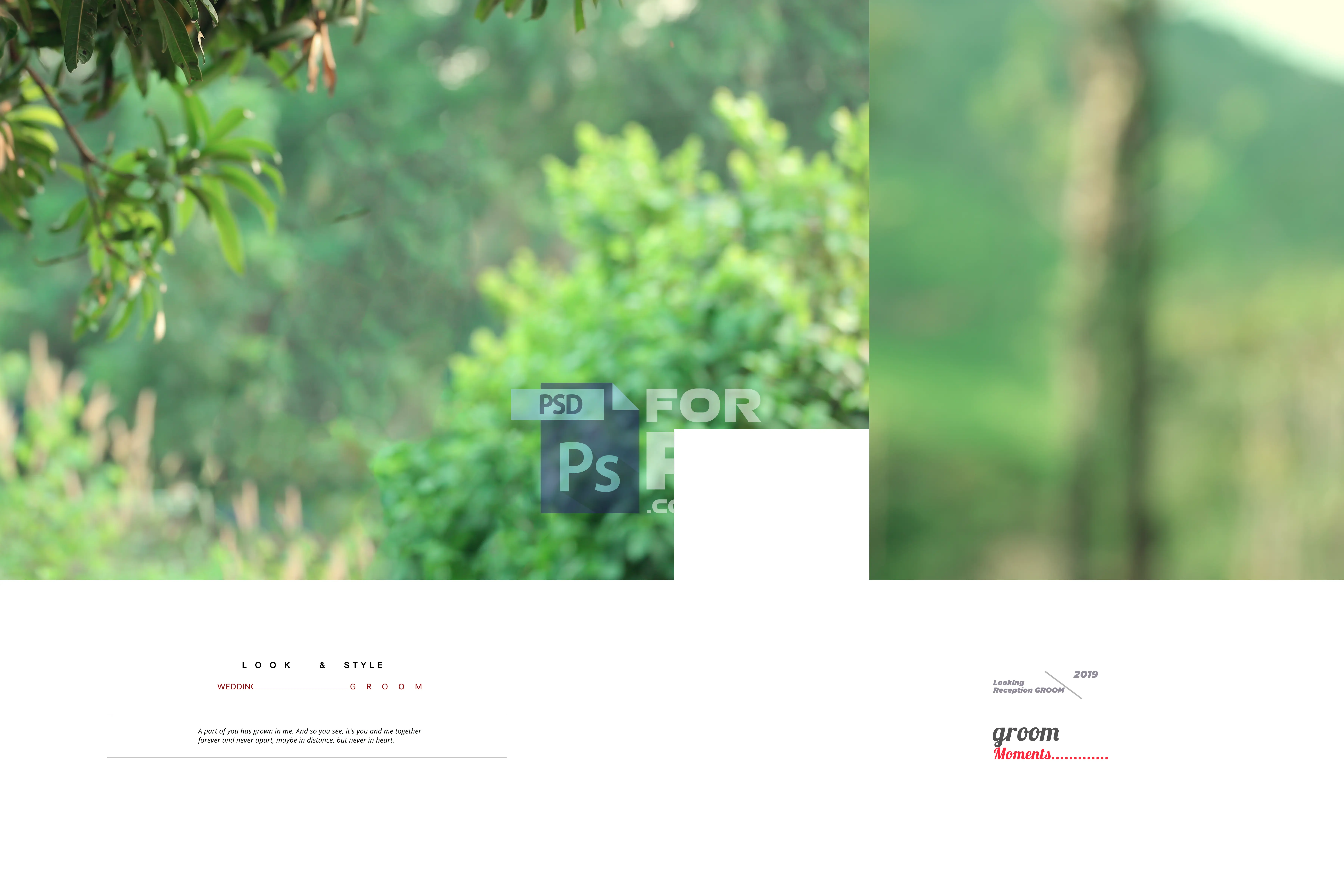 Image Preview